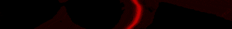Our Services Banner